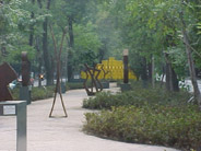 Exposición escultórica. Bosque de Chapultepec, Ciudad de México.